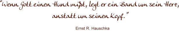 spruch