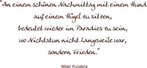 Spruch