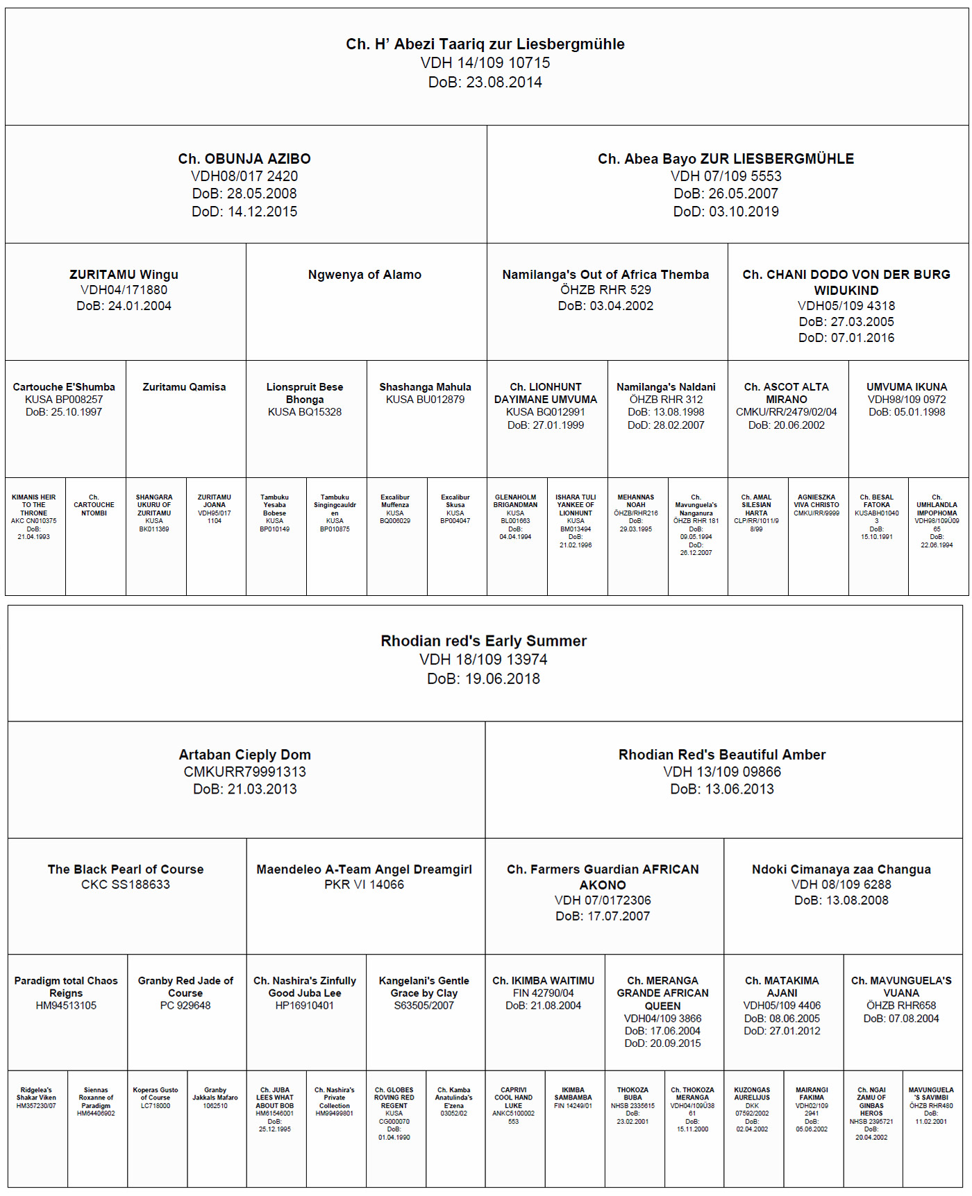 Pedigree G-Wurf 2021