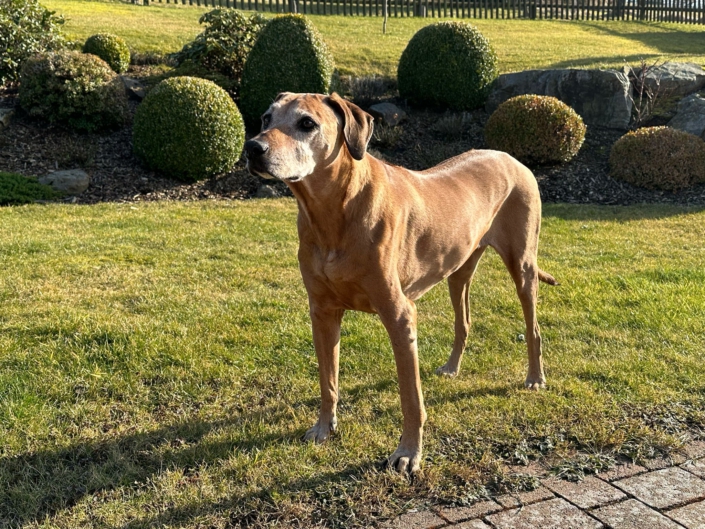 PHOTO-2025-03-08-15-43-26