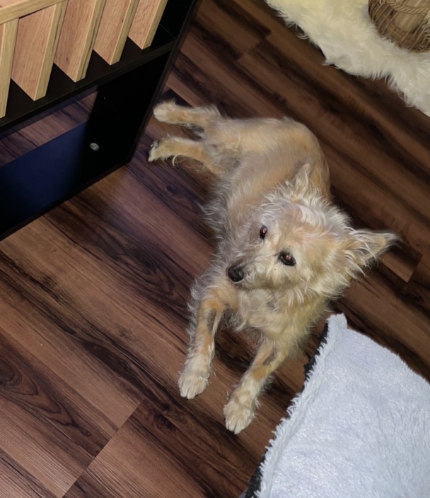 236F3A90-32A2-4DA4-8160-FF5634865EA2