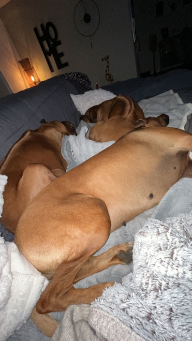 7317B8D7-4365-4E0D-8AEC-5C462B257C9B