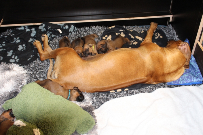 IMG_9069