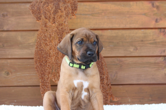 K-Wurf 2026 Einzelporträts Woche 6 (33)