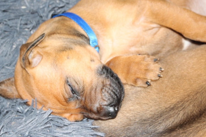 K-Wurf 2026 Woche 4 alle zusammen (46)
