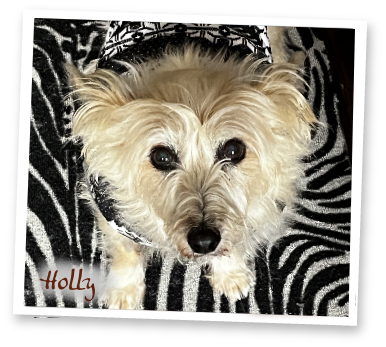 Holly